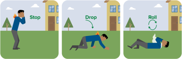 Stop Drop and Roll